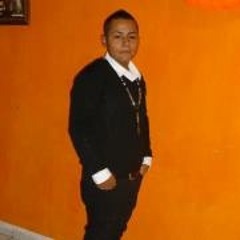 Alan Gonzalez Venegas