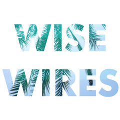 Wise Wires