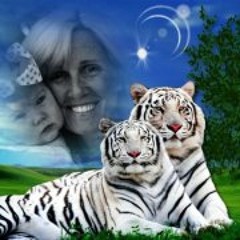 Sheila Funkhouser Foster