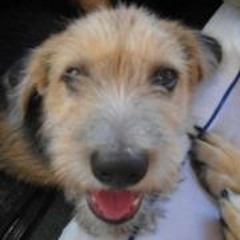 Macario E. Antolin Jr.