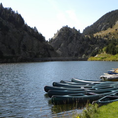 Lax'n'busto - que boig el món