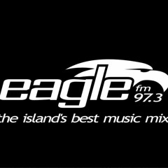 Dan Hicks Interview 110813