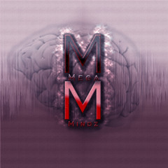 The MegaMindz