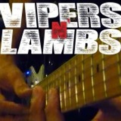 Vipers And Lambs