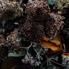 sounds-on-my-way-to-work