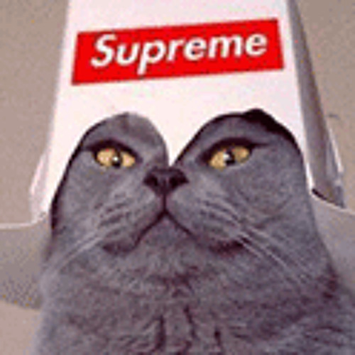 Supreme’s avatar