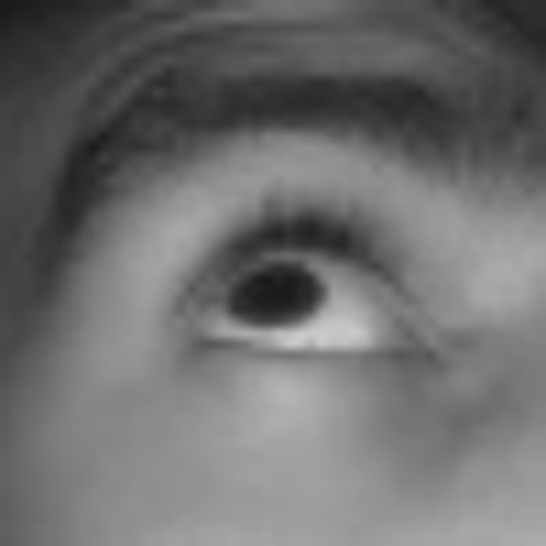 Titi Robin - Tribute