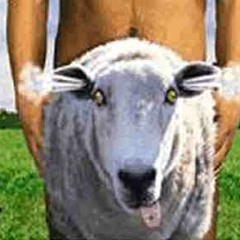 Stream kalmer cockermouth music | Listen to songs, albums ...