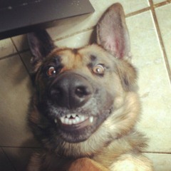 Erzsébet Burnette-Higgs