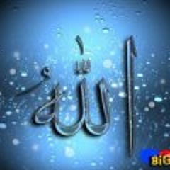 Aqsin Fateh - Mominler