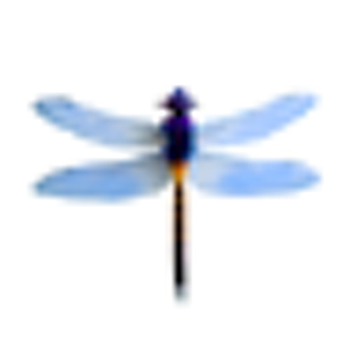 발렌타인데이특집