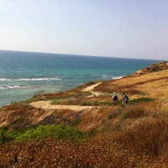 Petty Problems (Defiance, Ohio Cover)