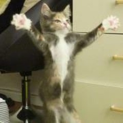 Ylva Krogtoft Jensen