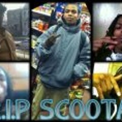 Crystal JBskaterbrown