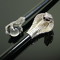 SnakeCane
