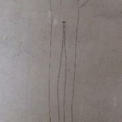 Daniel Benjamin Truen