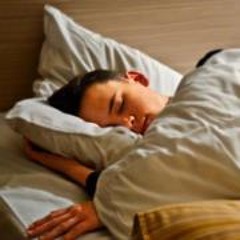 Nicolas van den Berghe 1