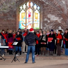 The Roaring Meg Singers