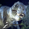 Tommosaurus