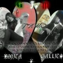 Gallito Nm Tamo Bonita