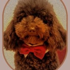 Robiroccoediego Moretti