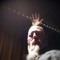 shinyribs