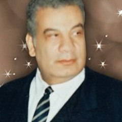 Mohamed Gamal Mansour
