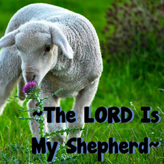 THE LORD IS MY SHEPHERD !