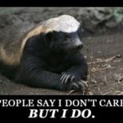 Ben Nguyễn Tăng Lê