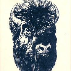 TheBisonBrothers