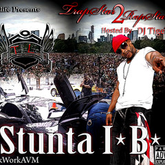 StuntaIB