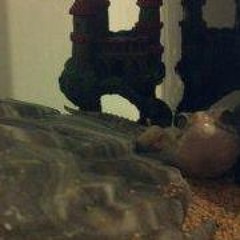 Nicholas Michael Weissman