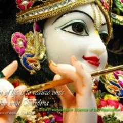 Divya Gr