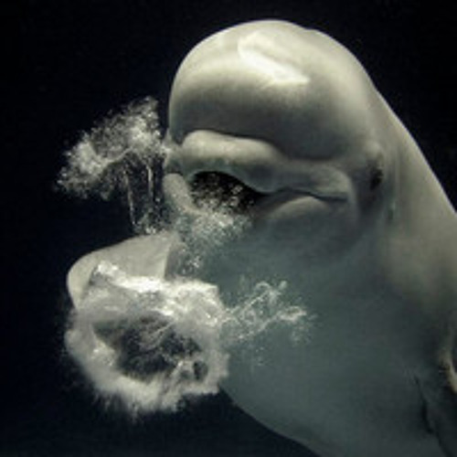 Rare pleasure - Let Me Down Easy