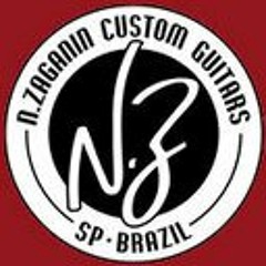 NZaganin Custom Guitars