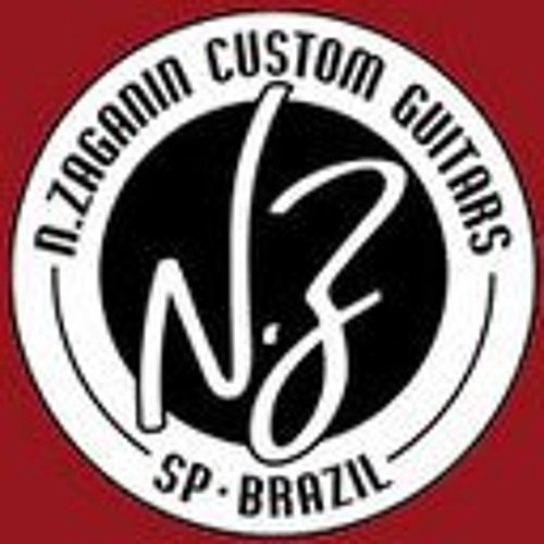 NZaganin Custom Guitars’s avatar