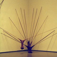 Shawn Stein [Chimney]