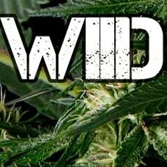 Wiid Familia ft. *ITAL CRU*