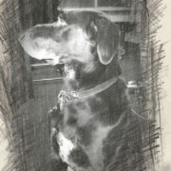 Desmond Patrick-Smith