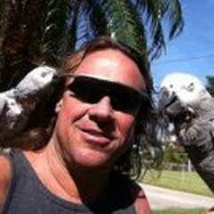 Jeppy Light Man Griffiths