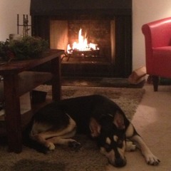 Cameron Jones-Commodore