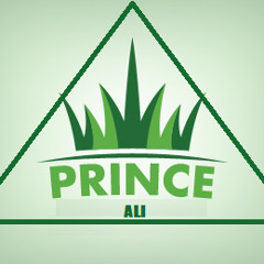 Dj. Prince Ali