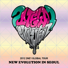 2NE1 NEW EVOLUTION TOUR