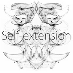 Self-extension