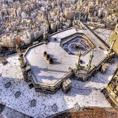 الشيخ الفوزان والامن