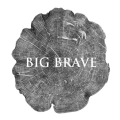 02 Big Brave - Halo