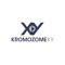 Kromozome XY