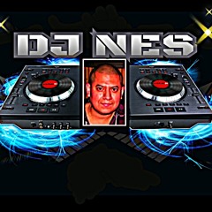 DjNES
