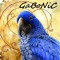 Gabonic