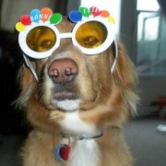 Mélissa Fleurent Thibault